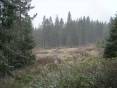 Predáme lukratívny pozemok- Vysoké Tatry