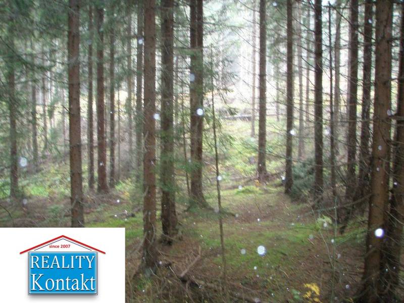 Ponúkame na predaj investičný pozemok mimo TANAPu - Vysoké Tatry 